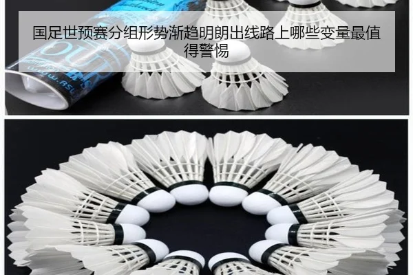 国足世预赛分组形势渐趋明朗出线路上哪些变量最值得警惕